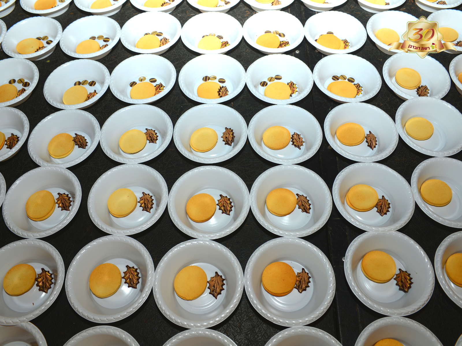 30-שנה-לרשת-דובדבן