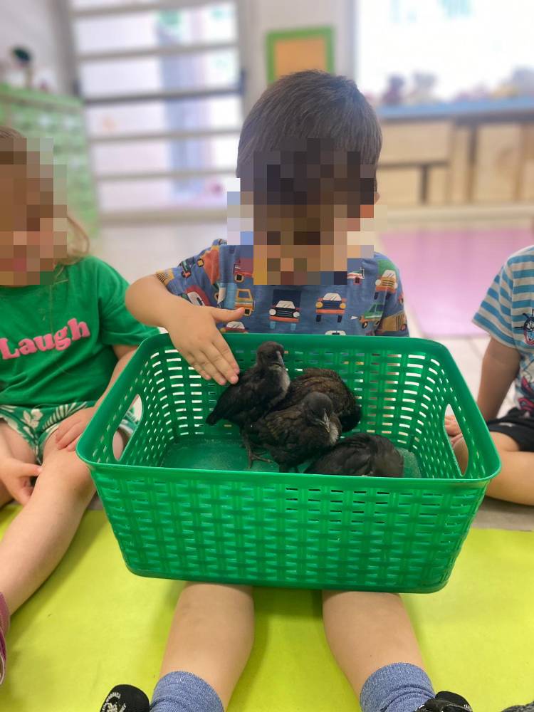 neot-pets3