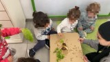jlm-snails2