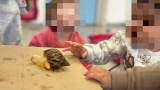 jlm-snails5
