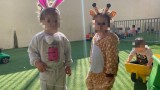 neot-purim12
