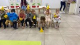 neot-purim38