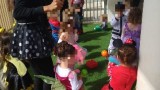 peres-purim10
